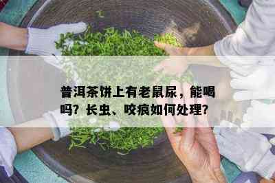 普洱茶饼上有老鼠尿，能喝吗？长虫、咬痕怎样解决？