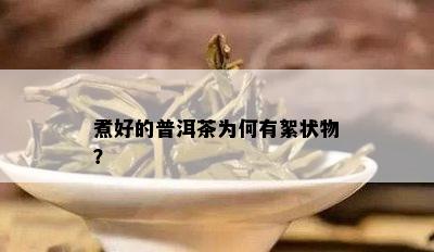 煮好的普洱茶为何有絮状物？