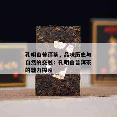 孔明山普洱茶，品味历史与自然的交融：孔明山普洱茶的魅力探索