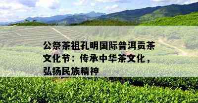 公祭茶祖孔明国际普洱贡茶文化节：传承中华茶文化，弘扬民族精神