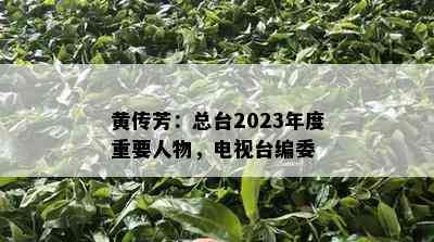 黄传芳：总台2023年度重要人物，电视台编委