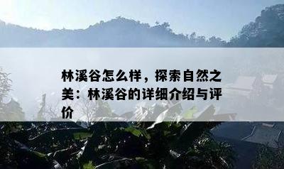 林溪谷怎么样，探索自然之美：林溪谷的详细介绍与评价