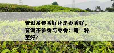 普洱茶参香好还是枣香好，普洱茶参香与枣香：哪一种更好？