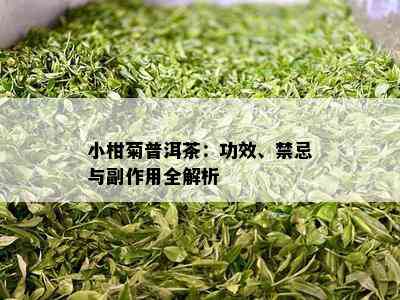 小柑菊普洱茶：功效、禁忌与副作用全解析