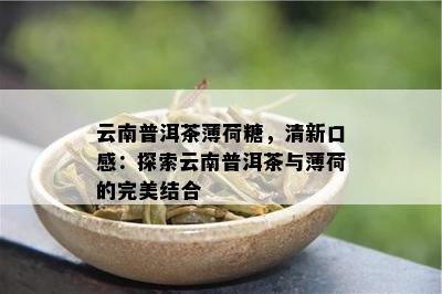 云南普洱茶薄荷糖，清新口感：探索云南普洱茶与薄荷的完美结合