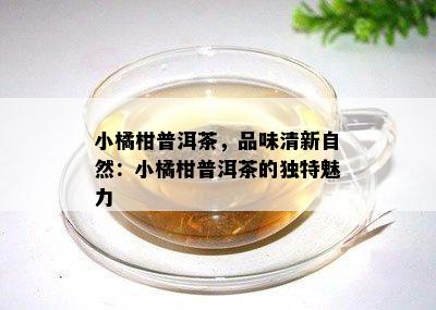 小橘柑普洱茶，品味清新自然：小橘柑普洱茶的独特魅力