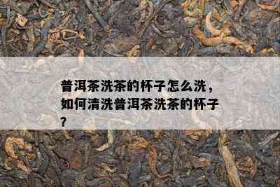 普洱茶洗茶的杯子怎么洗，如何清洗普洱茶洗茶的杯子？