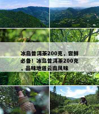 冰岛普洱茶200克，尝鲜必备！冰岛普洱茶200克，品味地道云南风味