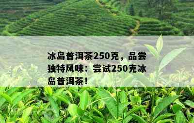 冰岛普洱茶250克，品尝特别风味：尝试250克冰岛普洱茶！