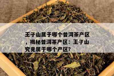 王子山属于哪个普洱茶产区，揭秘普洱茶产区：王子山究竟属于哪个产区？