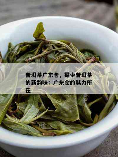 普洱茶广东仓，探索普洱茶的新韵味：广东仓的魅力所在