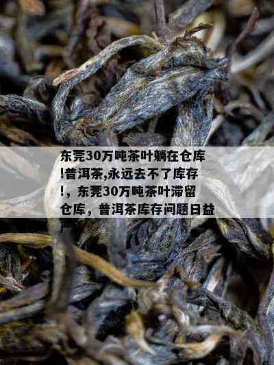 东莞30万吨茶叶躺在仓库!普洱茶,永远去不了库存!，东莞30万吨茶叶滞留仓库，普洱茶库存疑问日益严重