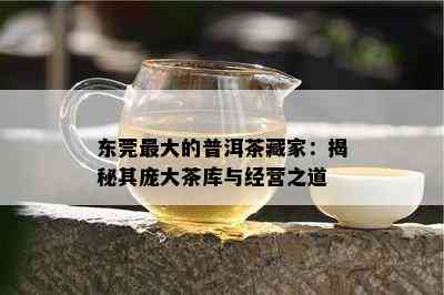 东莞更大的普洱茶藏家：揭秘其庞大茶库与经营之道