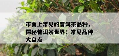 市面上常见的普洱茶品种，探秘普洱茶世界：常见品种大盘点