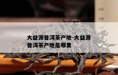 大益源普洱茶产地-大益源普洱茶产地是哪里