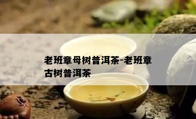 老班章母树普洱茶-老班章古树普洱茶