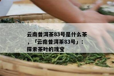 云南普洱茶83号是什么茶，「云南普洱茶83号」：探索茶叶的瑰宝