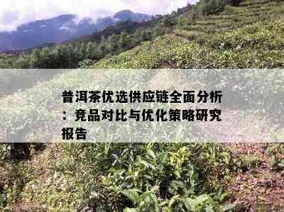 普洱茶优选供应链全面分析：竞品对比与优化策略研究报告