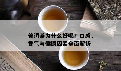 普洱茶为什么好喝？口感、香气与健康因素全面解析