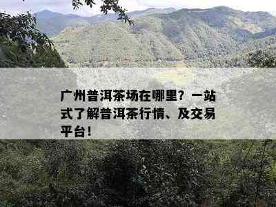 广州普洱茶场在哪里？一站式熟悉普洱茶行情、及交易平台！