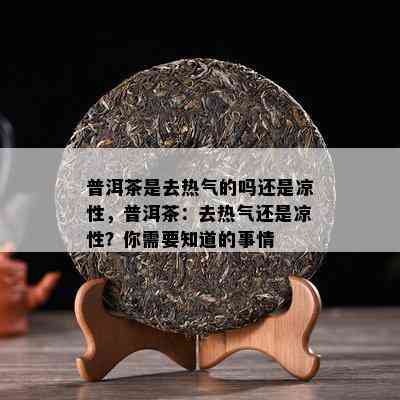 普洱茶是去热气的吗还是凉性，普洱茶：去热气还是凉性？你需要知道的事情