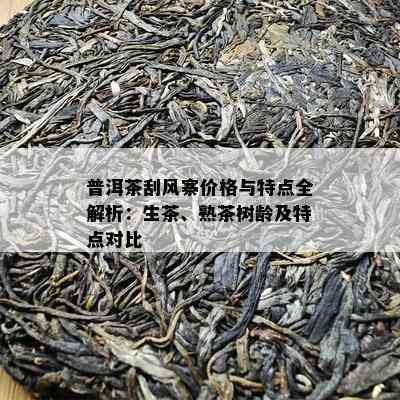 普洱茶刮风寨价格与特点全解析：生茶、熟茶树龄及特点对比