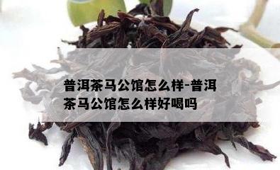 普洱茶马公馆怎么样-普洱茶马公馆怎么样好喝吗