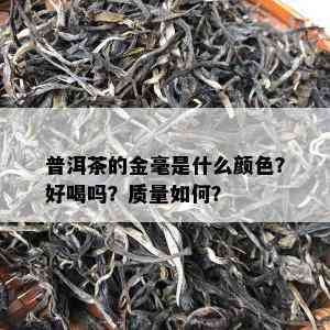 普洱茶的金毫是什么颜色？好喝吗？品质怎样？