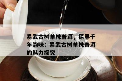 易武古树单株普洱，探寻千年韵味：易武古树单株普洱的魅力探究