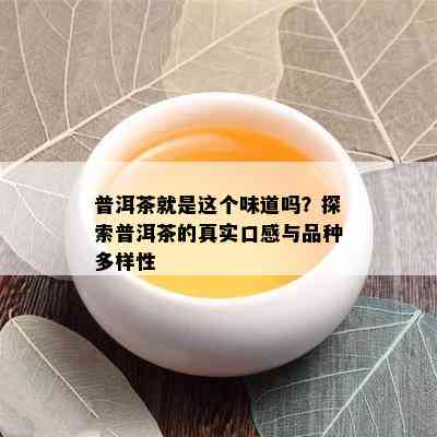 普洱茶就是这个味道吗？探索普洱茶的真实口感与品种多样性