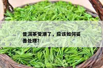 普洱茶受潮了，应怎样妥善解决？