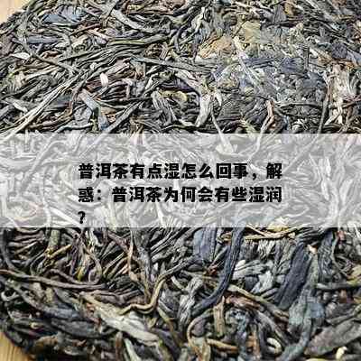 普洱茶有点湿怎么回事，解惑：普洱茶为何会有些湿润？