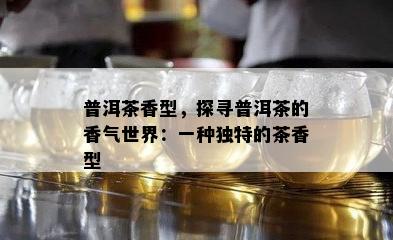 普洱茶香型，探寻普洱茶的香气世界：一种特别的茶香型