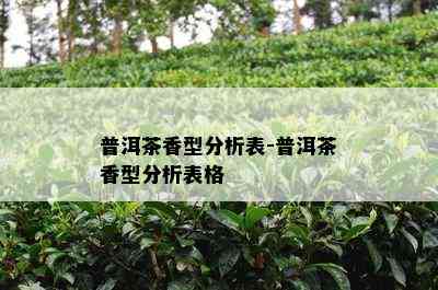 普洱茶香型分析表-普洱茶香型分析表格