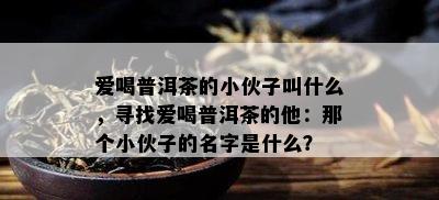 爱喝普洱茶的小伙子叫什么，寻找爱喝普洱茶的他：那个小伙子的名字是什么？