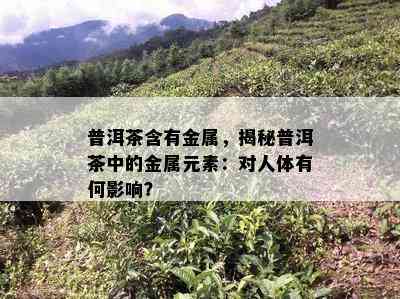 普洱茶含有金属，揭秘普洱茶中的金属元素：对人体有何影响？