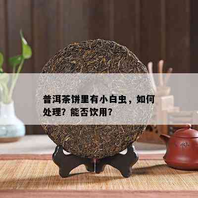 普洱茶饼里有小白虫，怎样解决？能否饮用？