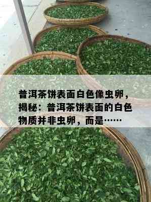 普洱茶饼表面白色像虫卵，揭秘：普洱茶饼表面的白色物质并非虫卵，而是……