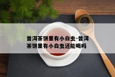 普洱茶饼里有小白虫-普洱茶饼里有小白虫还能喝吗