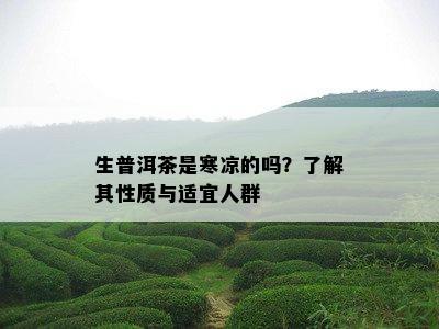 生普洱茶是寒凉的吗？熟悉其性质与适宜人群