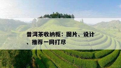 普洱茶收纳柜：图片、设计、推荐一网打尽