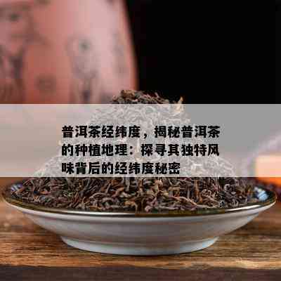 普洱茶经纬度，揭秘普洱茶的种植地理：探寻其特别风味背后的经纬度秘密