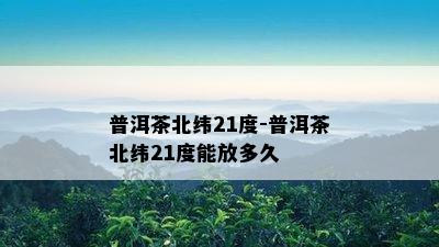 普洱茶北纬21度-普洱茶北纬21度能放多久