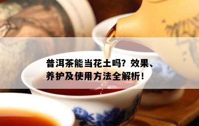 普洱茶能当花土吗？效果、养护及采用方法全解析！