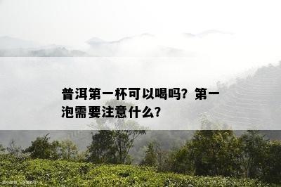 普洱之一杯可以喝吗？之一泡需要留意什么？