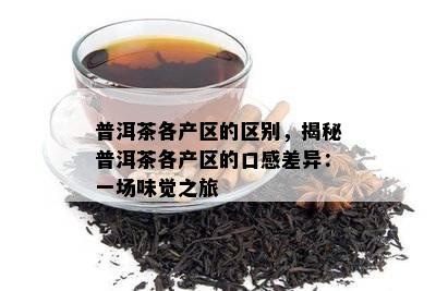 普洱茶各产区的区别，揭秘普洱茶各产区的口感差异：一场味觉之旅