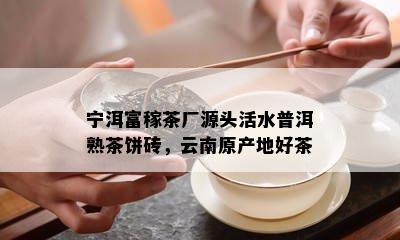 宁洱富稼茶厂源头活水普洱熟茶饼砖，云南原产地好茶