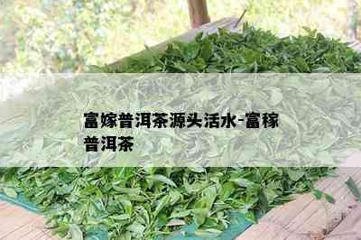 富嫁普洱茶源头活水-富稼普洱茶