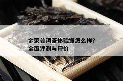 金荣普洱茶体验馆怎么样？全面评测与评价