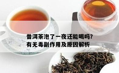 普洱茶泡了一夜还能喝吗？有无副作用及原因解析